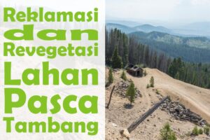 reklamasi dan revegetasi lahan pasca tambang