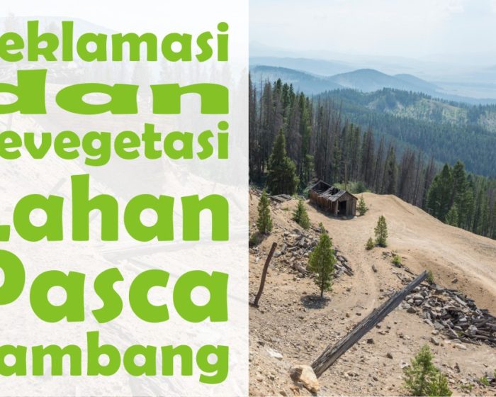 reklamasi dan revegetasi lahan pasca tambang